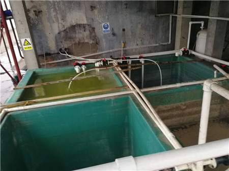 次氯酸鈉的生產車間一角1_副本